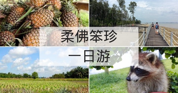 柔佛笨珍一日游 精选路线 交通模式 景点 要这样才好玩