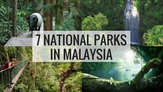7 National Parks In Malaysia