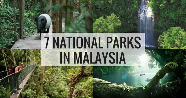 7 Malaysia National Parks Taman Negara Breathtaking Natural Places