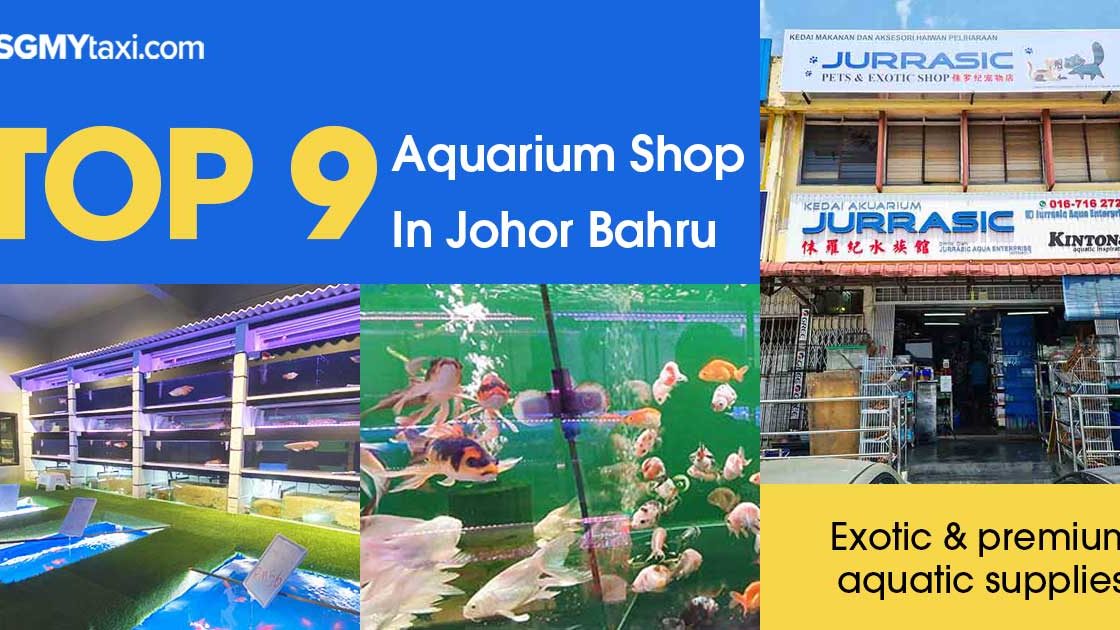 Aquarium-Shop-in-JB Dive into Exotic Aquatic Worlds with these top aquarium shops in JB
