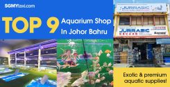 Dive into Exotic Aquatic Worlds with these top aquarium shops in JB