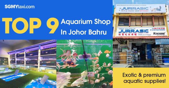 Aquarium-Shop-in-JB Dive into Exotic Aquatic Worlds with these top aquarium shops in JB