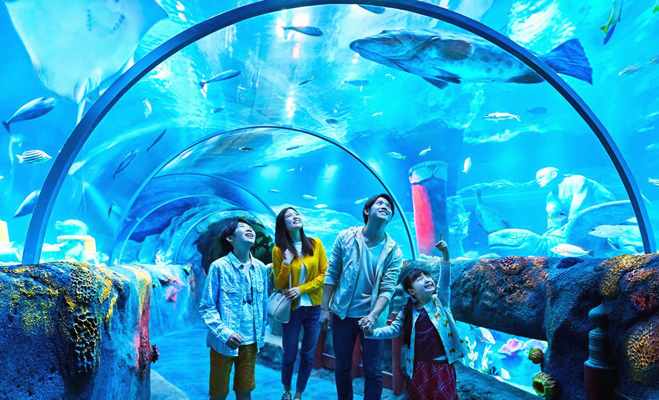 Aquarium at Legoland Malaysia