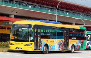 Causeway Link Public Bus from Singapore to Legoland Malaysia