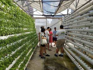 Comcrop Singapore