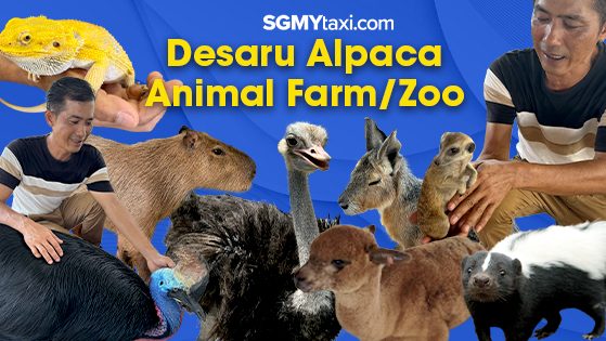 Desaru Alpaca Animal Farm Desaru Alpaca Animal Farm