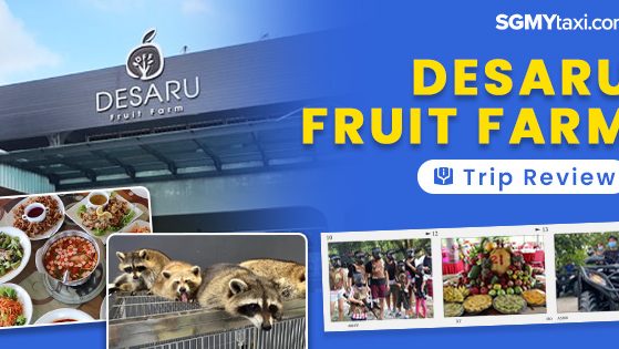 Desaru Fruit Farm Trip Review