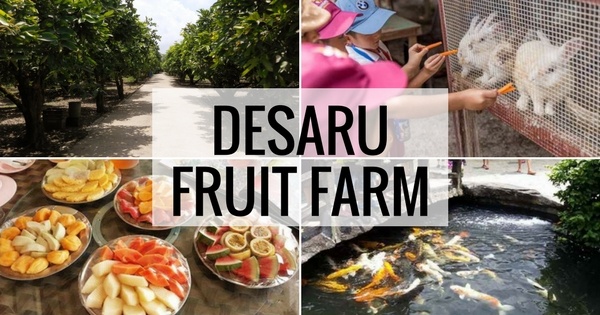 Desaru Fruit Farm