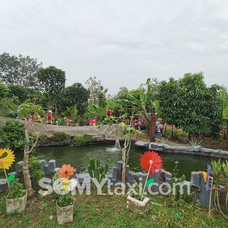 Desaru Fruit Farm Trip