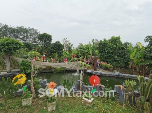 Desaru Fruit Farm Trip