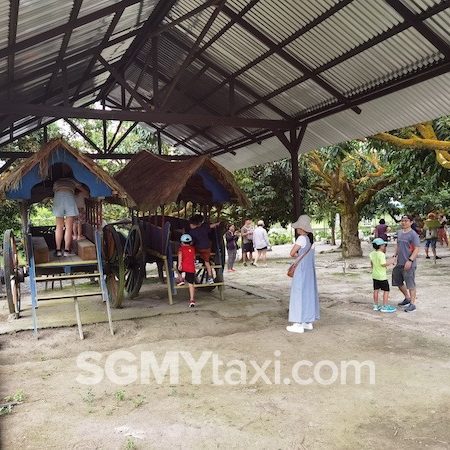 Desaru Fruit Farm Trip