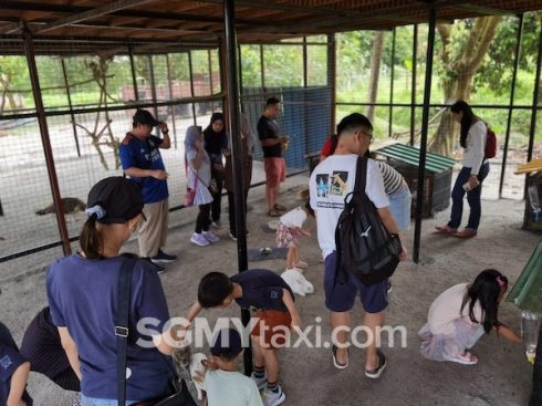 Desaru Fruit Farm Trip