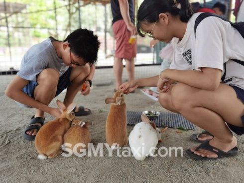 Desaru Fruit Farm Trip