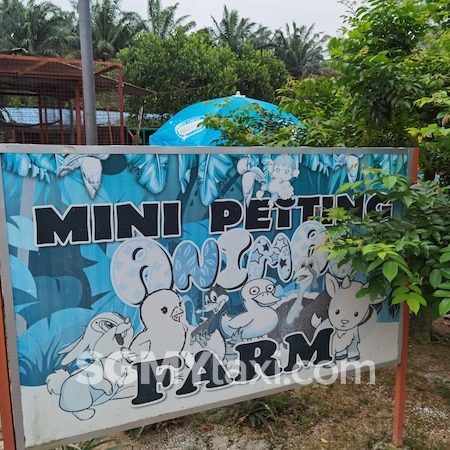 Desaru Fruit Farm Trip