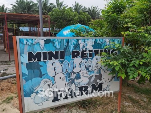 Desaru Fruit Farm Trip