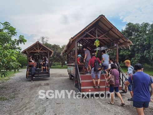 Desaru Fruit Farm Trip