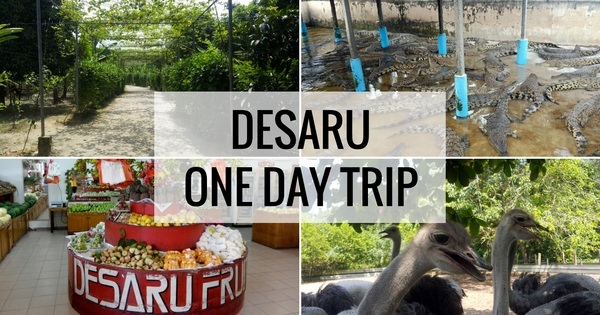 Desaru One Day Trip