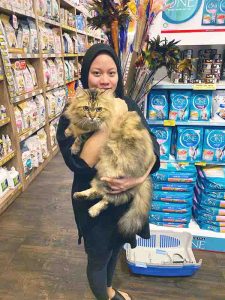 Dhani Pet Store JB Cat