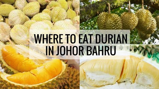 Durian Stalls & Farms In Johor Bahru (JB) Durian Stalls & Farms In Johor Bahru (JB)
