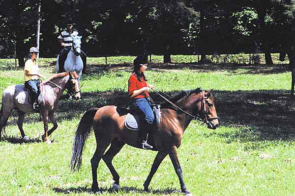 Equestrian Club A Famosa Melaka