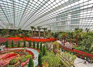 Flower Dome Singapore