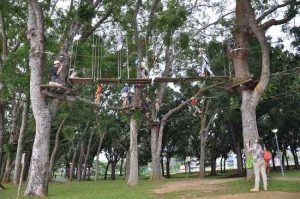 Rope Obstacle Challenge At Forest Adventure Singapore