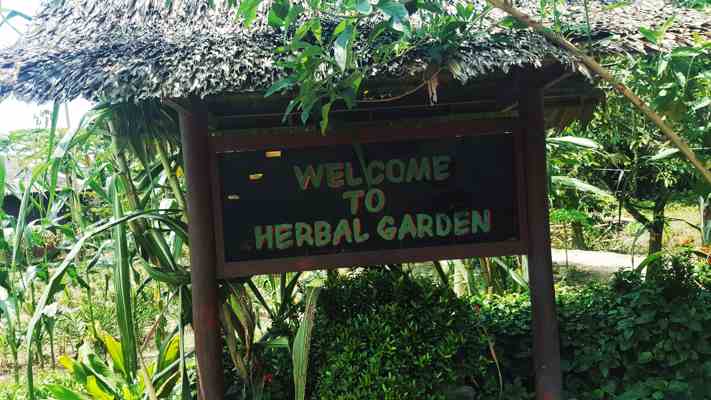Herbal Garden At Desaru Fruit Farm