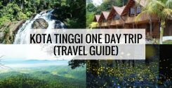 How To Get To Kota Tinggi From Singapore (Include Kota Tinggi Famous Food, Kota Tinggi Attraction)
