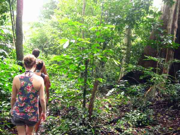 Jungle Trekking in Tioman Island