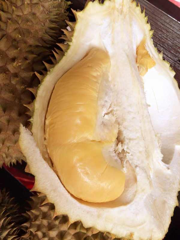 Lim's Durian Farm