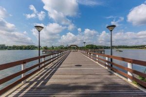 Lower Seletar Reservoir Singapore