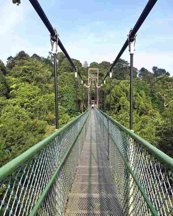 MacRitchie Reservoir for Tree-top Walk