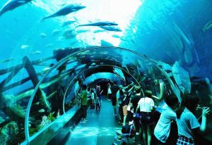 Marine Life Park Sentosa Singapore (S.E.A. Aquarium)