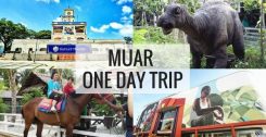 Muar Johor Day Trip