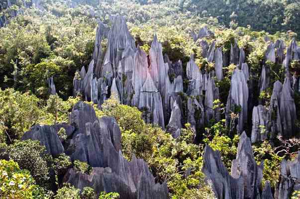 Mulu National Park View