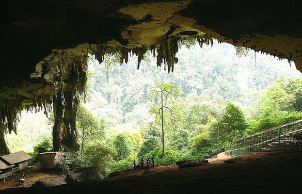 Taman negara niah