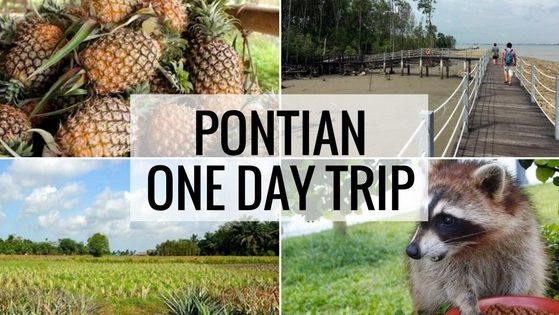 One Day Trip Pontian