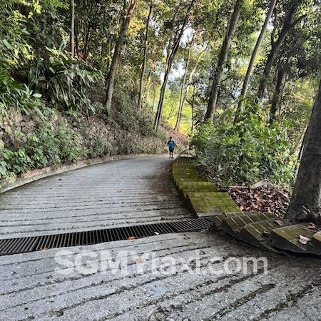 Rawa Island Walk
