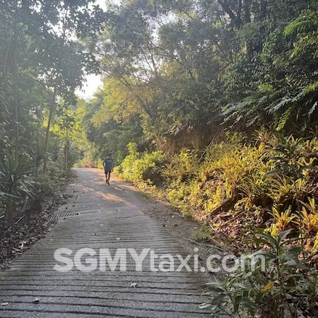Rawa Island Walk