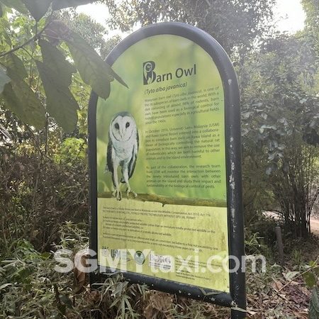 Rawa Island Walk