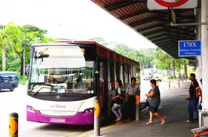 SBS Bus 170X