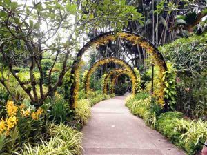 Singapore Botanic Garden