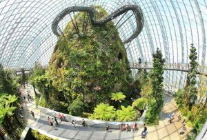 Singapore Cloud Forest