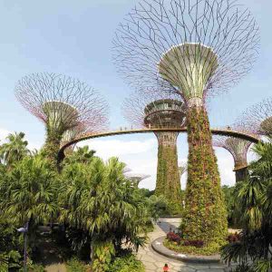 OCBC Skyway At Singapore Gardens By The Bay