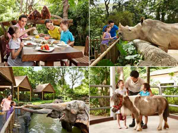 Singapore Zoo Activities