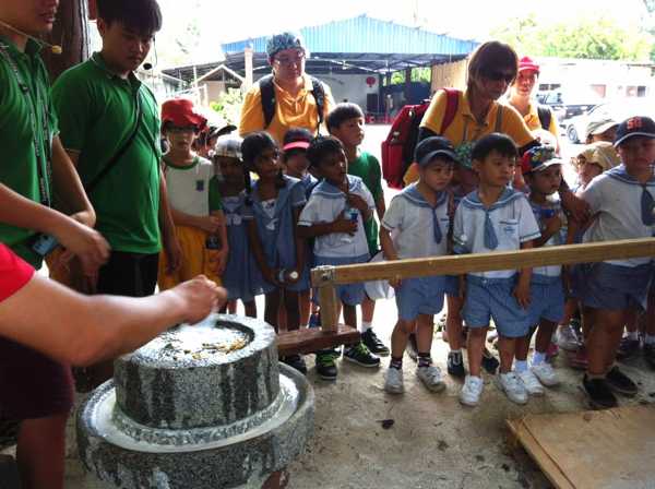 Correct way demonstrate how to operate stone mill at Sri Tanjung Leisure Farm