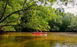Sungei Khatib Bongsu