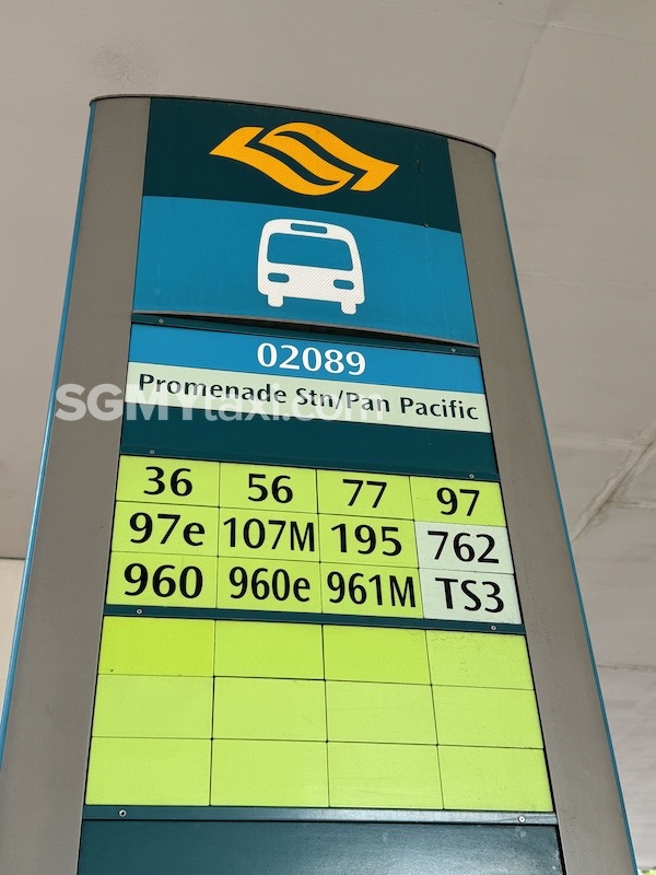 TS3 Bus Route Pan Pacific Bus Stop