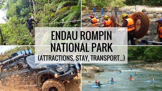 Endau Rompin Taman Negara Johor Endau Rompin Taman Negara Johor Ultimate Guide