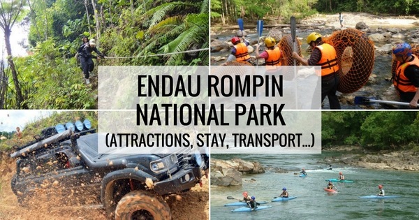 Endau Rompin Taman Negara Johor Ultimate Guide